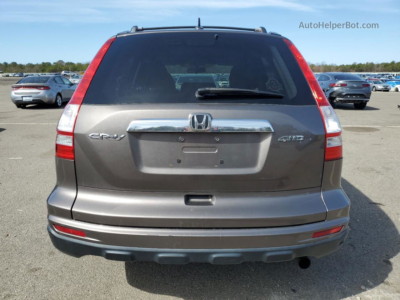 2010 Honda Cr-v Exl Gray vin: 5J6RE4H76AL051420