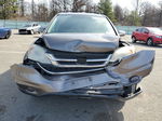 2010 Honda Cr-v Exl Gray vin: 5J6RE4H76AL051420