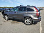 2010 Honda Cr-v Exl Gray vin: 5J6RE4H76AL051420