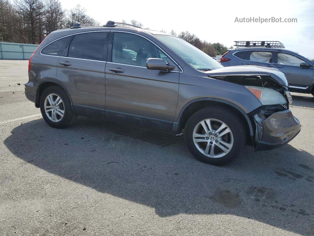 2010 Honda Cr-v Exl Gray vin: 5J6RE4H76AL051420