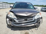 2010 Honda Cr-v Exl Gray vin: 5J6RE4H76AL078469