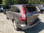 2010 Honda Cr-v Exl Gray vin: 5J6RE4H76AL081355