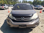 2010 Honda Cr-v Exl Gray vin: 5J6RE4H76AL081355