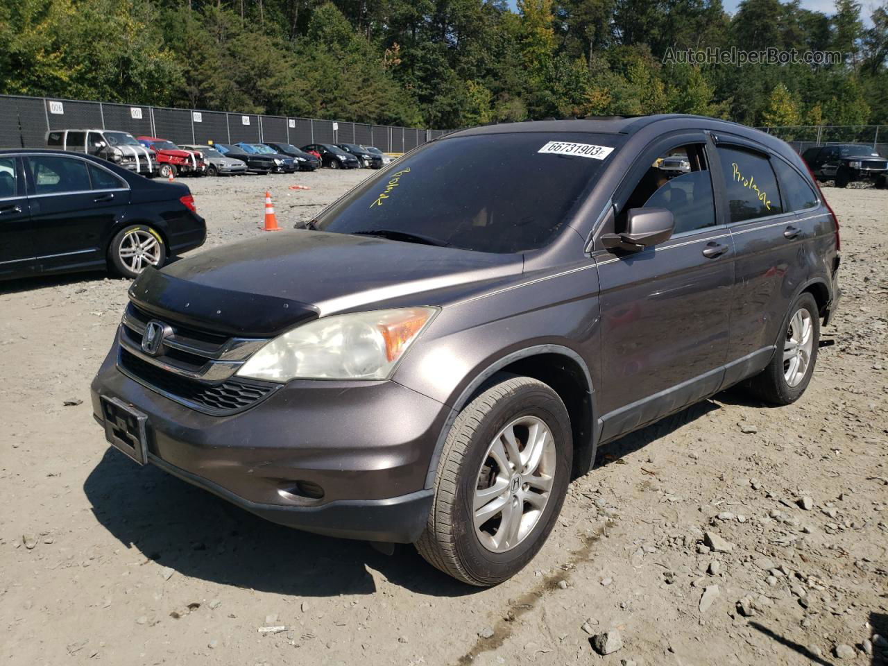 2010 Honda Cr-v Exl Gray vin: 5J6RE4H76AL081355