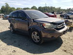 2010 Honda Cr-v Exl Gray vin: 5J6RE4H76AL081355