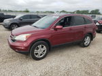 2010 Honda Cr-v Exl Maroon vin: 5J6RE4H76AL101135