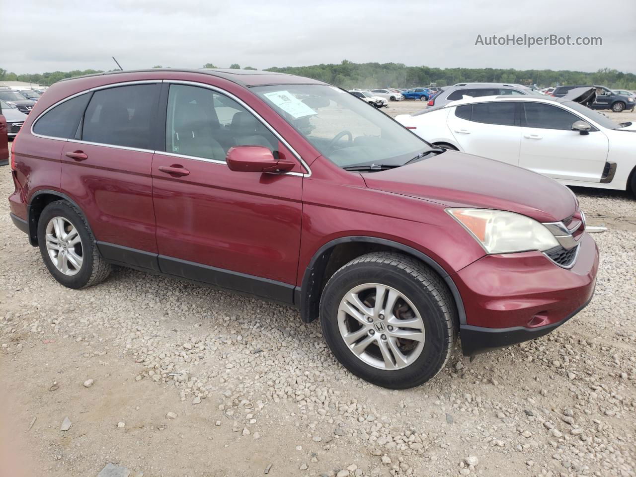 2010 Honda Cr-v Exl Maroon vin: 5J6RE4H76AL101135