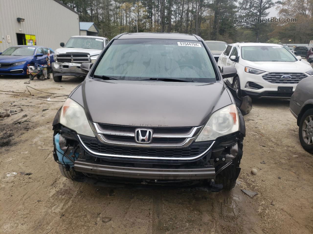 2010 Honda Cr-v Exl Gray vin: 5J6RE4H77AL022038