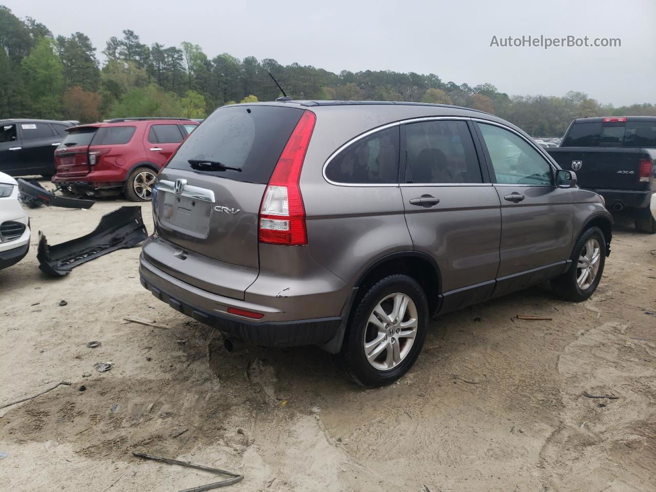 2010 Honda Cr-v Exl Gray vin: 5J6RE4H77AL022038