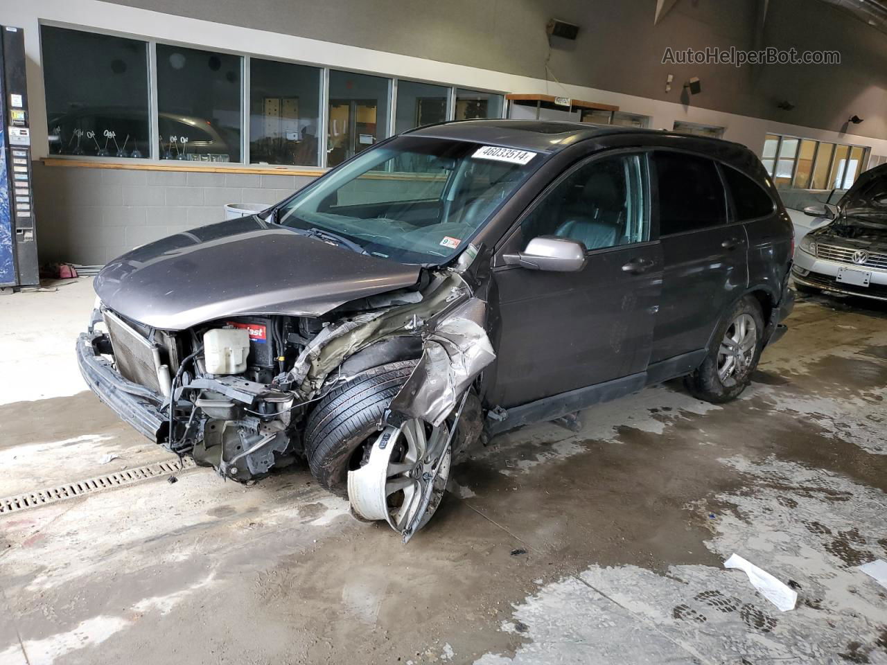 2010 Honda Cr-v Exl Gray vin: 5J6RE4H77AL023061