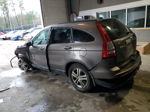 2010 Honda Cr-v Exl Gray vin: 5J6RE4H77AL023061