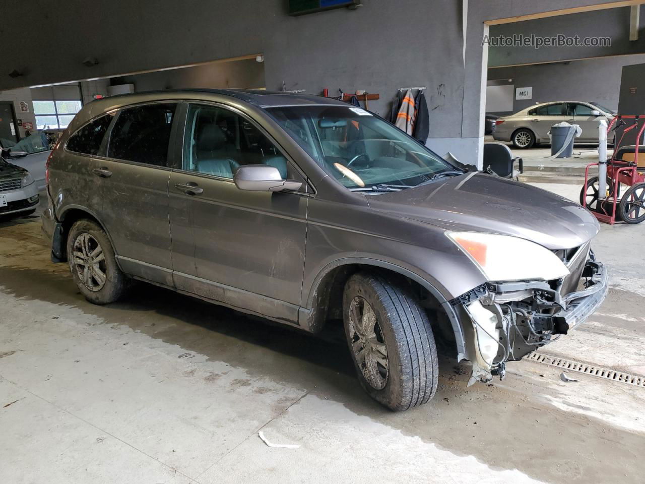 2010 Honda Cr-v Exl Gray vin: 5J6RE4H77AL023061