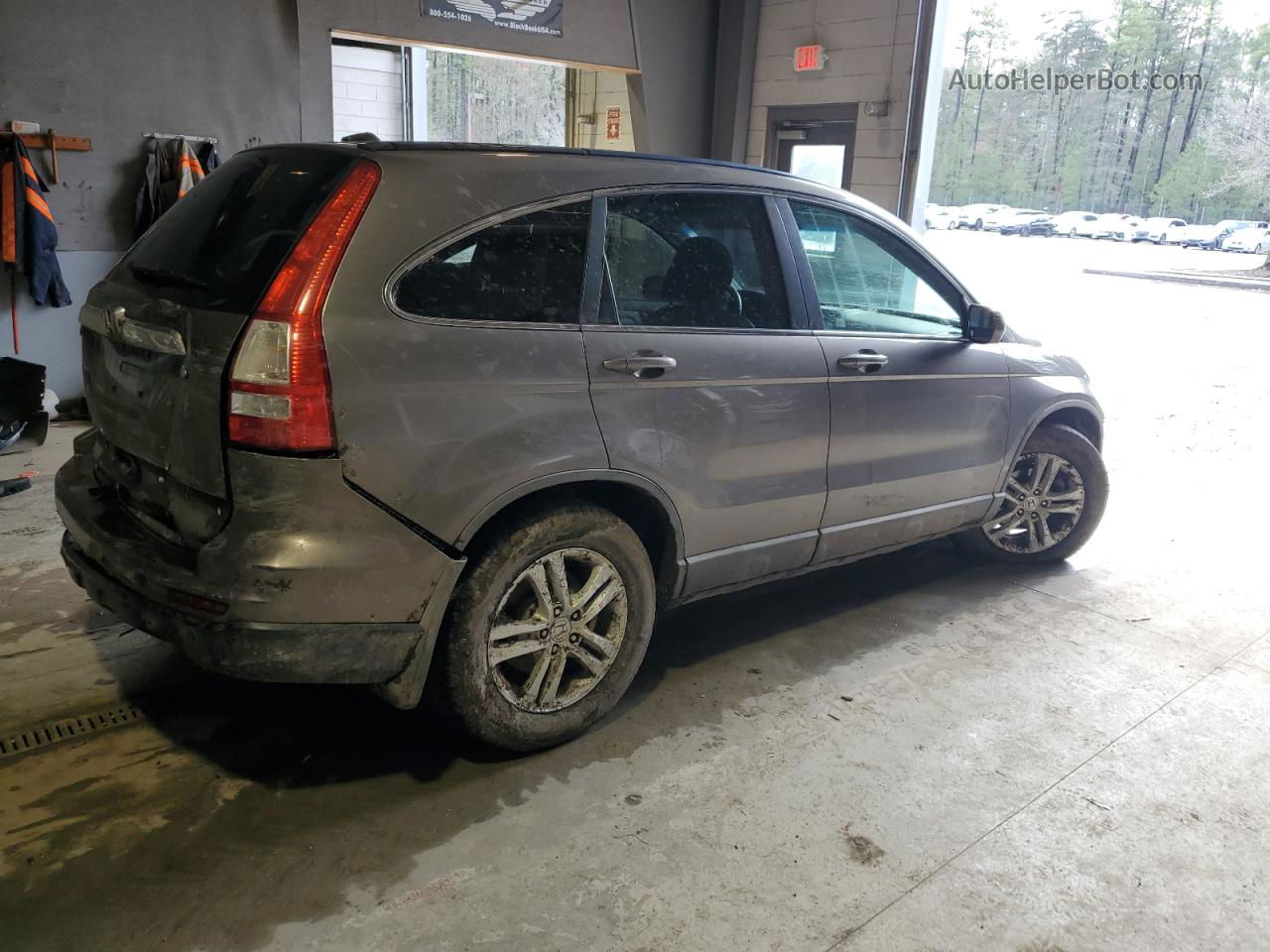 2010 Honda Cr-v Exl Gray vin: 5J6RE4H77AL023061