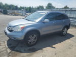 2010 Honda Cr-v Exl Gray vin: 5J6RE4H77AL037560