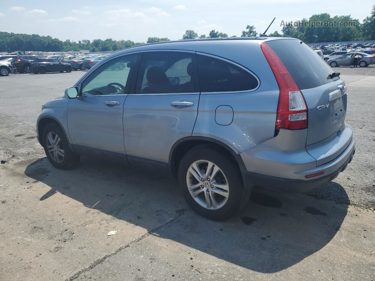 2010 Honda Cr-v Exl Gray vin: 5J6RE4H77AL037560