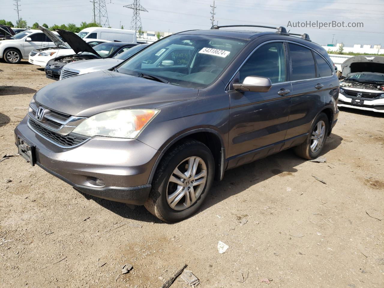 2010 Honda Cr-v Exl Gray vin: 5J6RE4H77AL051412