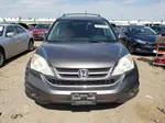 2010 Honda Cr-v Exl Gray vin: 5J6RE4H77AL051412