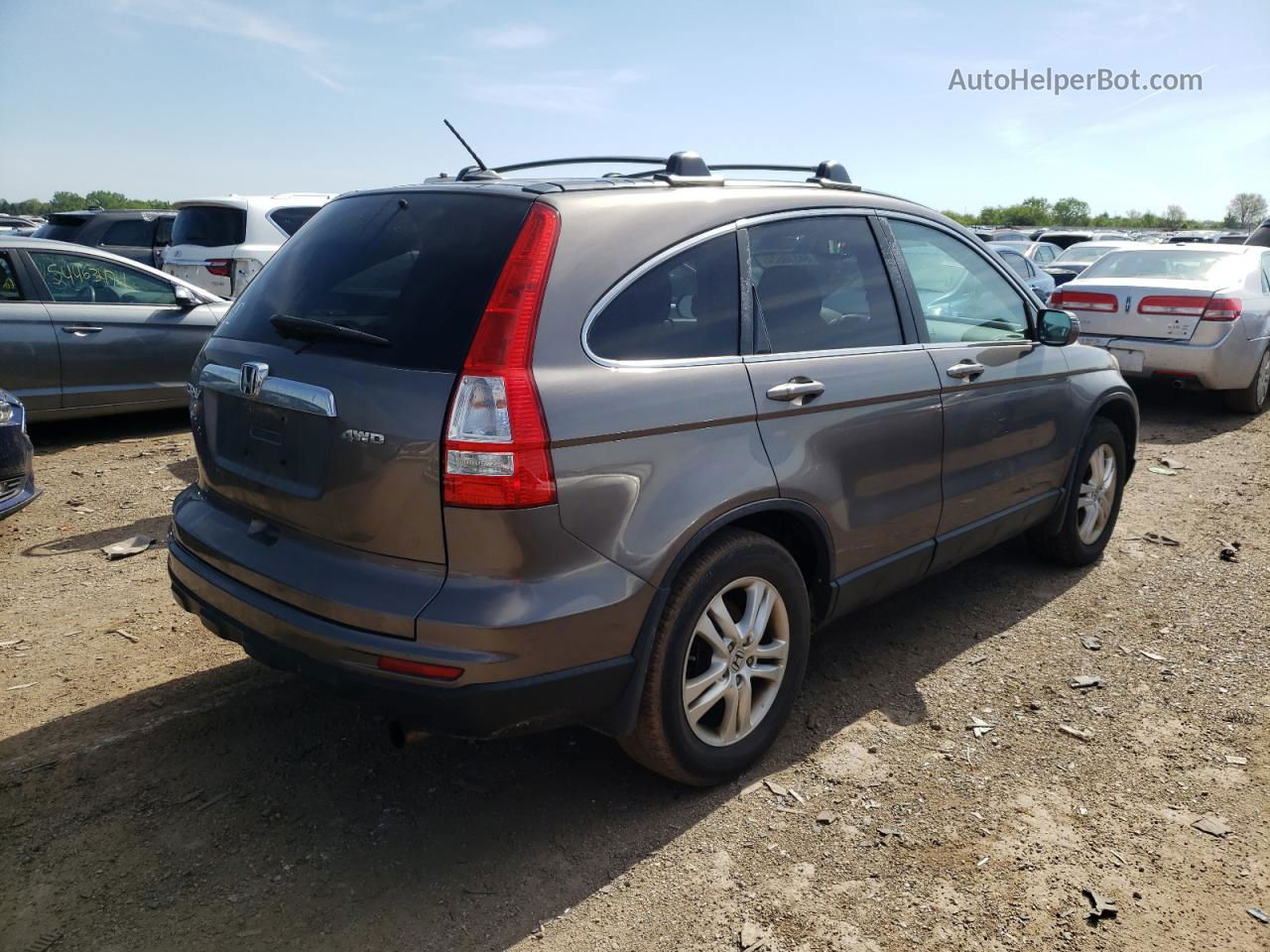 2010 Honda Cr-v Exl Gray vin: 5J6RE4H77AL051412