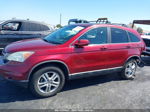 2010 Honda Cr-v Ex-l Red vin: 5J6RE4H78AL005829