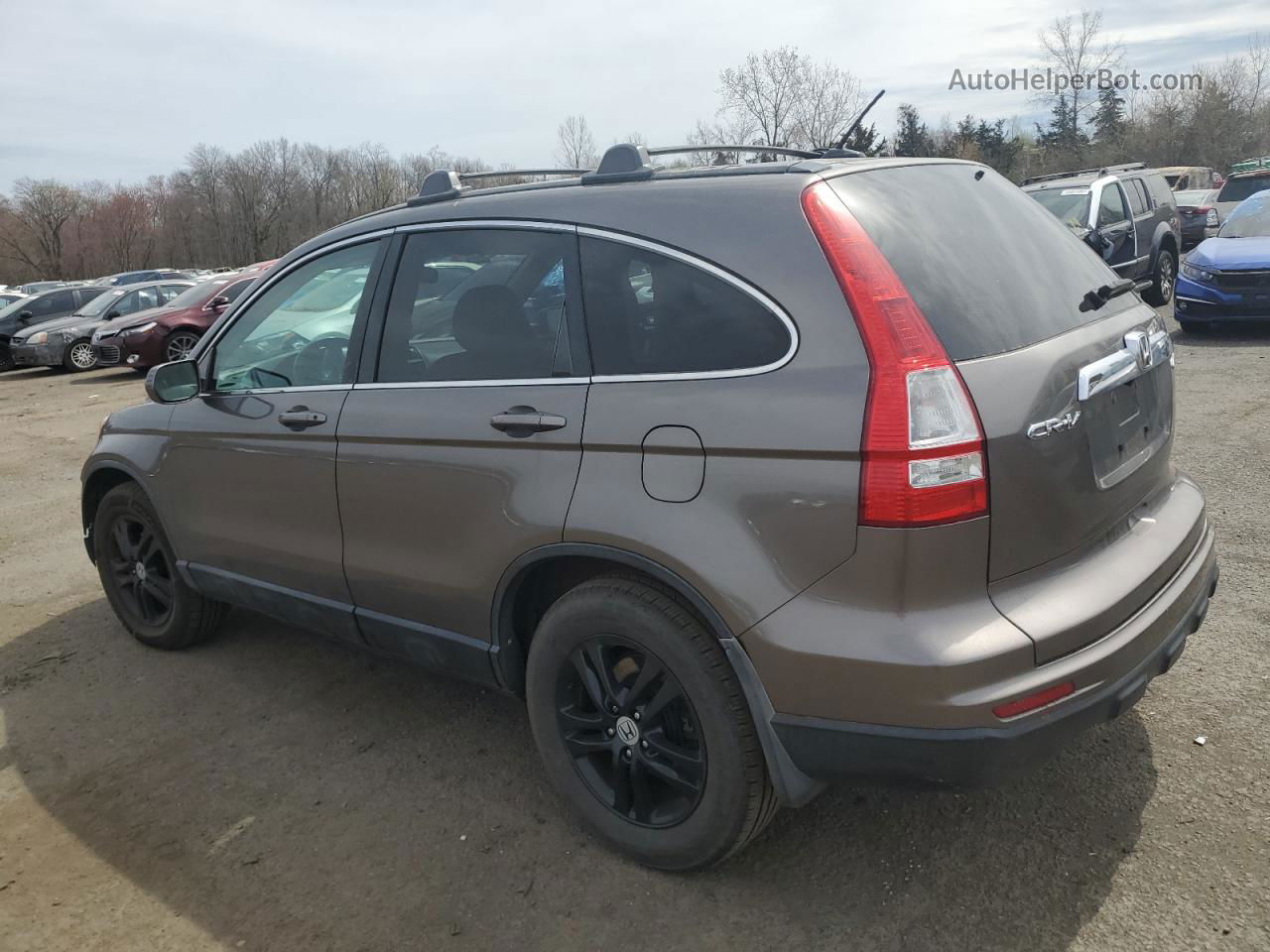 2010 Honda Cr-v Exl Серый vin: 5J6RE4H78AL048745