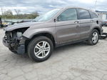 2010 Honda Cr-v Exl Gray vin: 5J6RE4H78AL081292