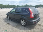 2010 Honda Cr-v Exl Black vin: 5J6RE4H78AL084094