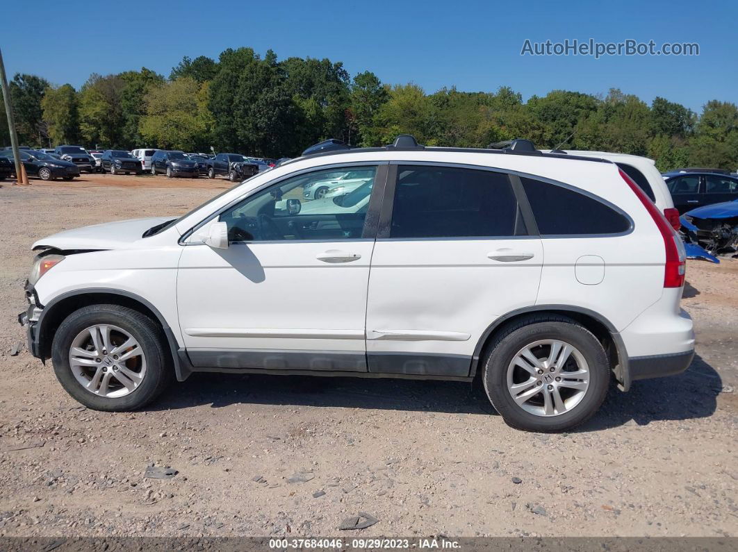 2010 Honda Cr-v Ex-l White vin: 5J6RE4H79AL029900