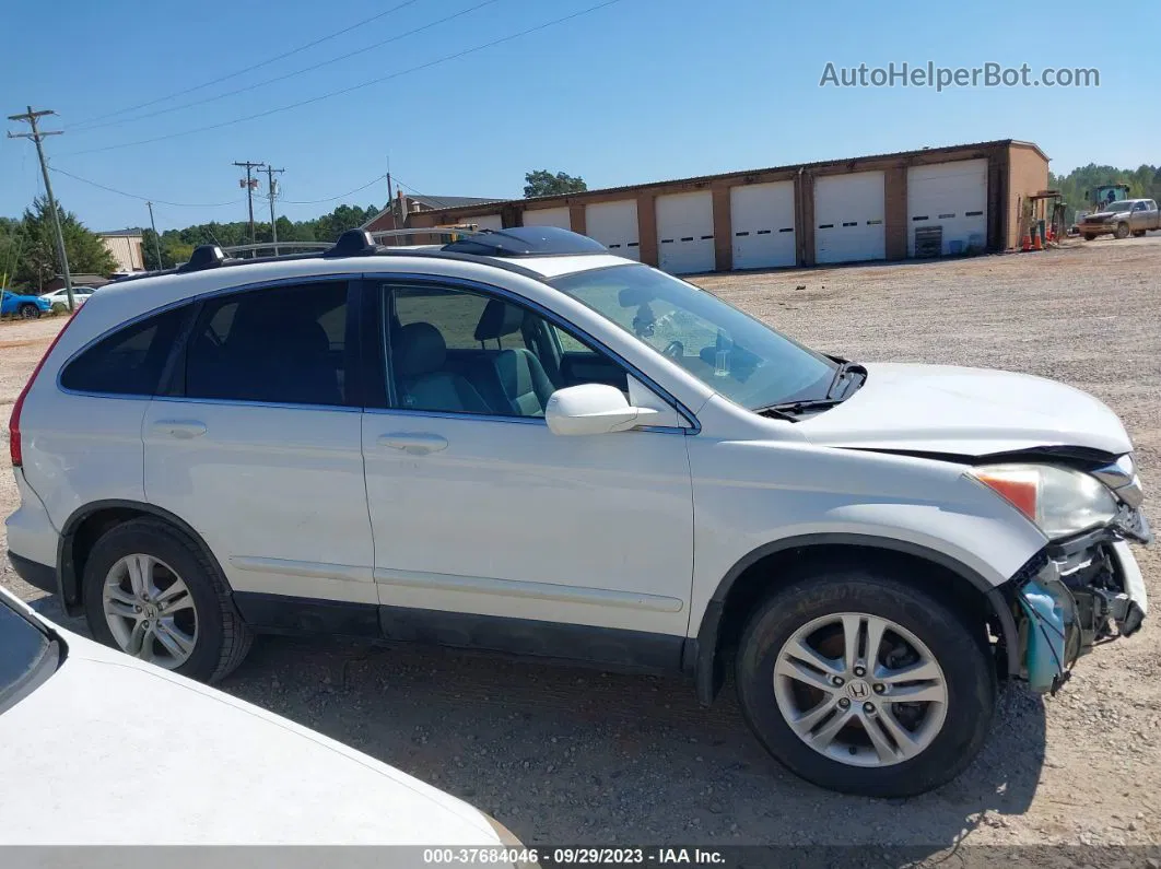 2010 Honda Cr-v Ex-l White vin: 5J6RE4H79AL029900