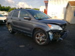 2010 Honda Cr-v Exl Gray vin: 5J6RE4H79AL031940