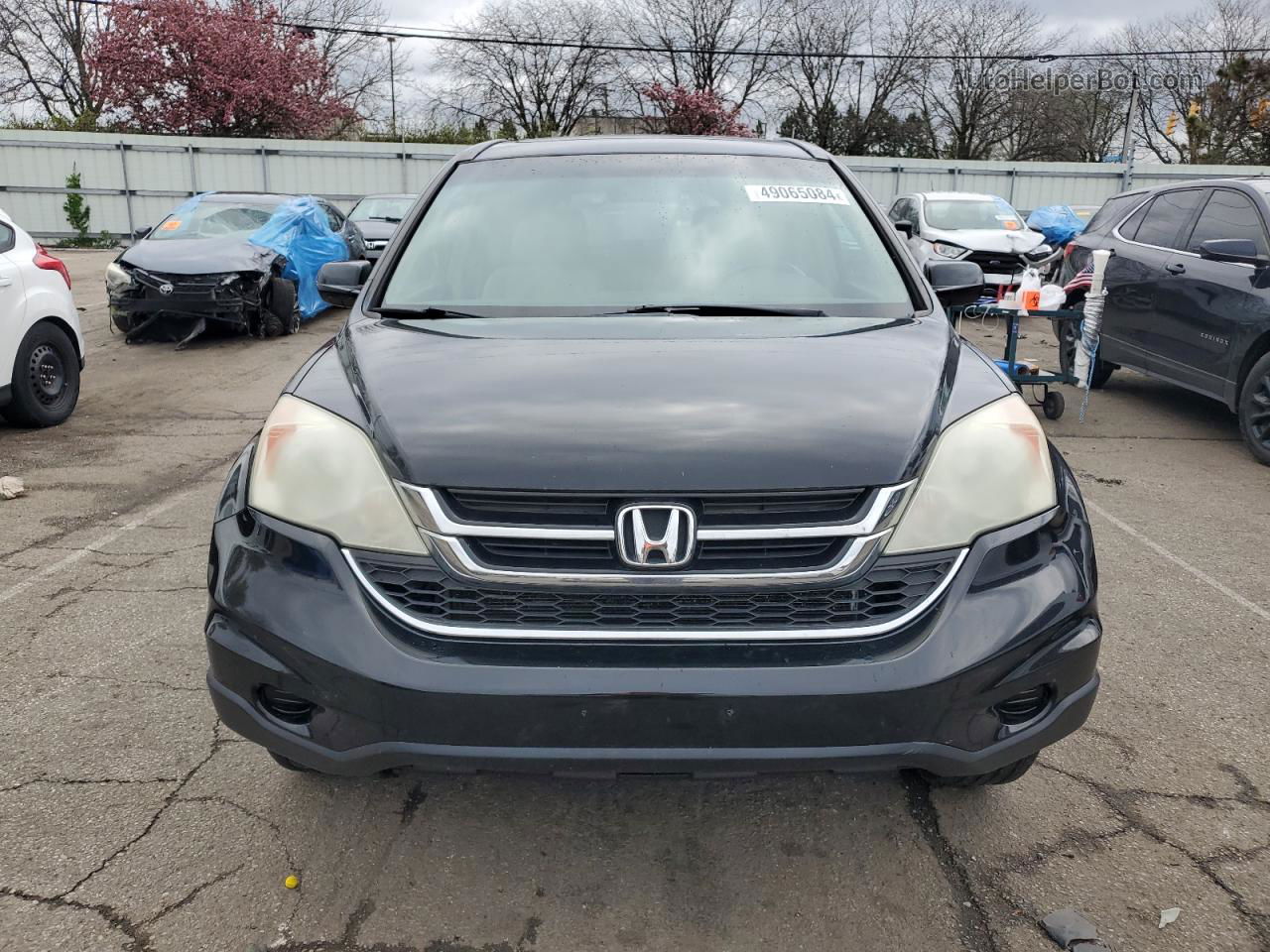 2010 Honda Cr-v Exl Black vin: 5J6RE4H79AL034630