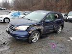 2010 Honda Cr-v Exl Blue vin: 5J6RE4H79AL040959