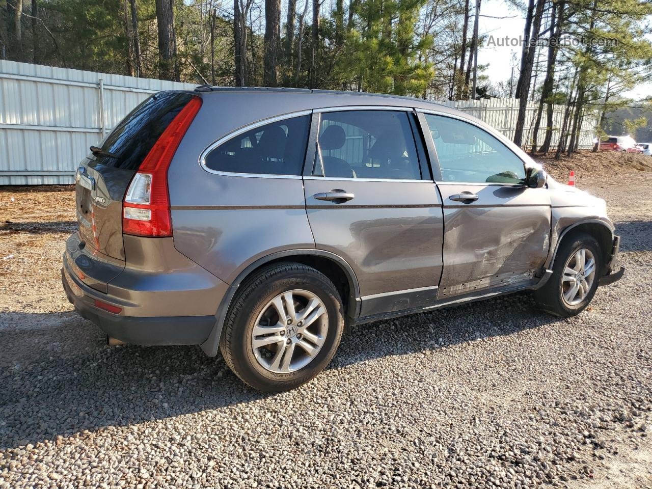 2010 Honda Cr-v Exl Желто-коричневый vin: 5J6RE4H79AL053761