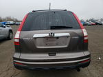 2010 Honda Cr-v Exl Gray vin: 5J6RE4H79AL077350