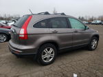 2010 Honda Cr-v Exl Gray vin: 5J6RE4H79AL077350