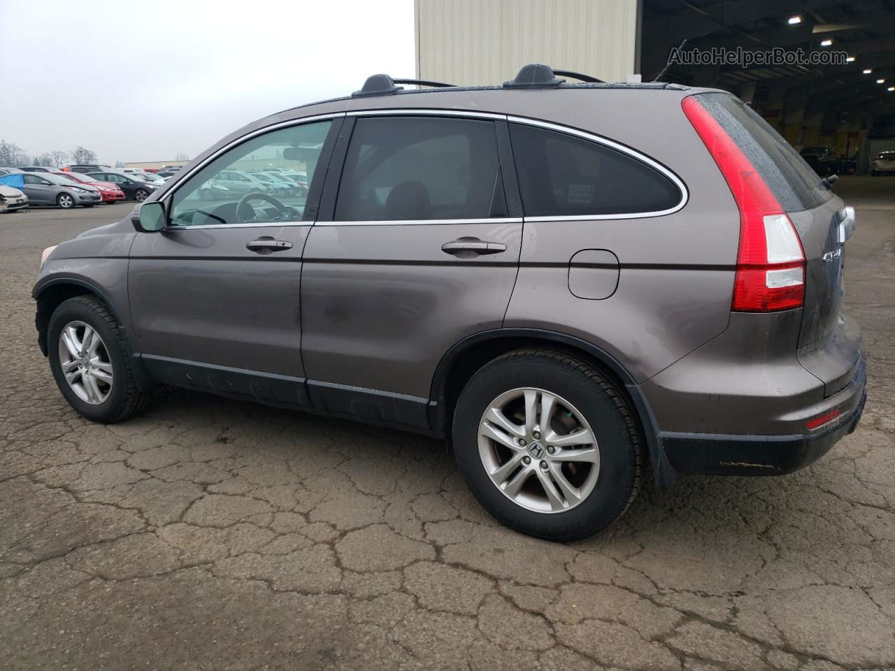 2010 Honda Cr-v Exl Gray vin: 5J6RE4H79AL077350