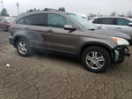 2010 Honda Cr-v Exl Gray vin: 5J6RE4H79AL077350