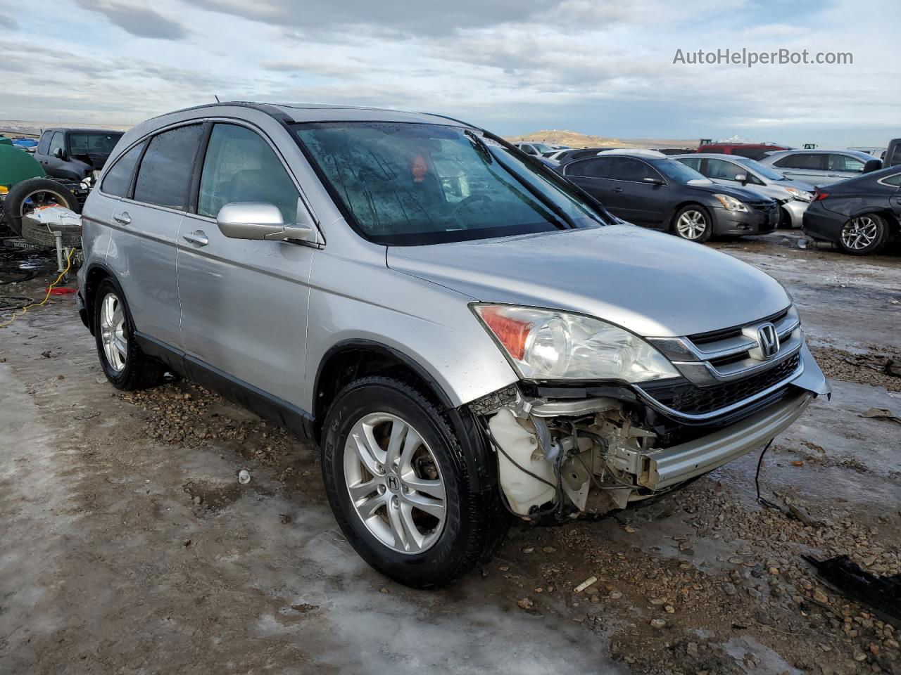 2010 Honda Cr-v Exl Silver vin: 5J6RE4H7XAL047211