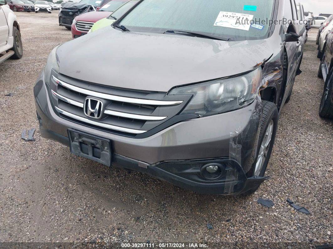 2013 Honda Cr-v Ex Коричневый vin: 5J6RM3H5XDL020445