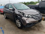 2012 Honda Cr-v Exl Gray vin: 5J6RM3H70CL003931