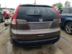 2012 Honda Cr-v Exl Gray vin: 5J6RM3H70CL003931