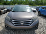 2013 Honda Cr-v Exl Brown vin: 5J6RM3H70DL043105