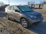 2012 Honda Cr-v Exl Brown vin: 5J6RM3H72CL006667