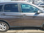 2012 Honda Cr-v Ex-l Pewter vin: 5J6RM3H73CL005253