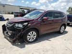 2012 Honda Cr-v Exl Burgundy vin: 5J6RM3H73CL011876