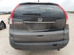 2012 Honda Cr-v Exl Gray vin: 5J6RM3H74CL002930