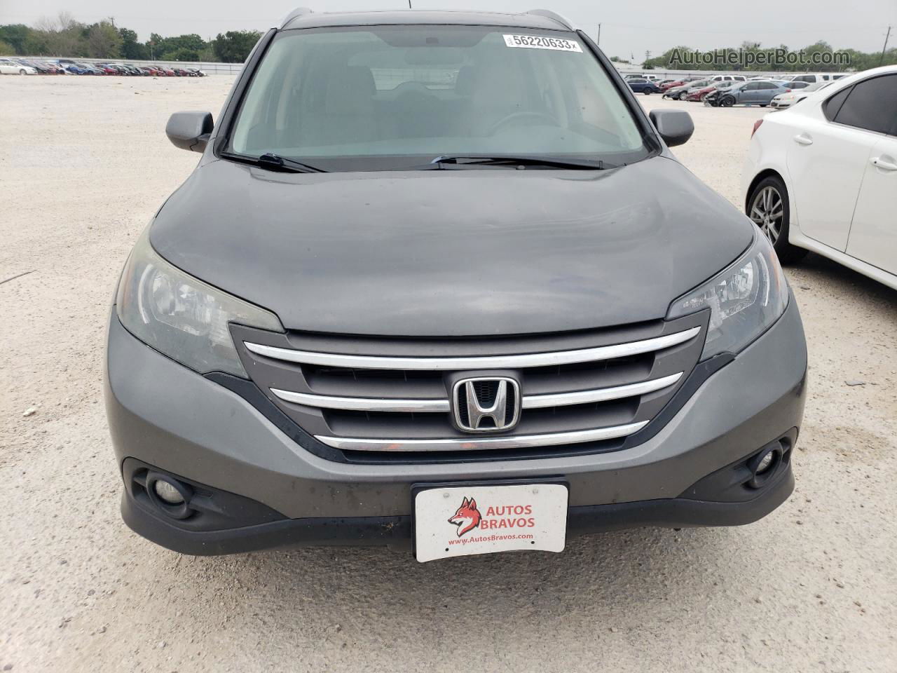 2012 Honda Cr-v Exl Gray vin: 5J6RM3H74CL002930