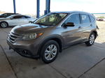 2012 Honda Cr-v Exl Коричневый vin: 5J6RM3H74CL016889