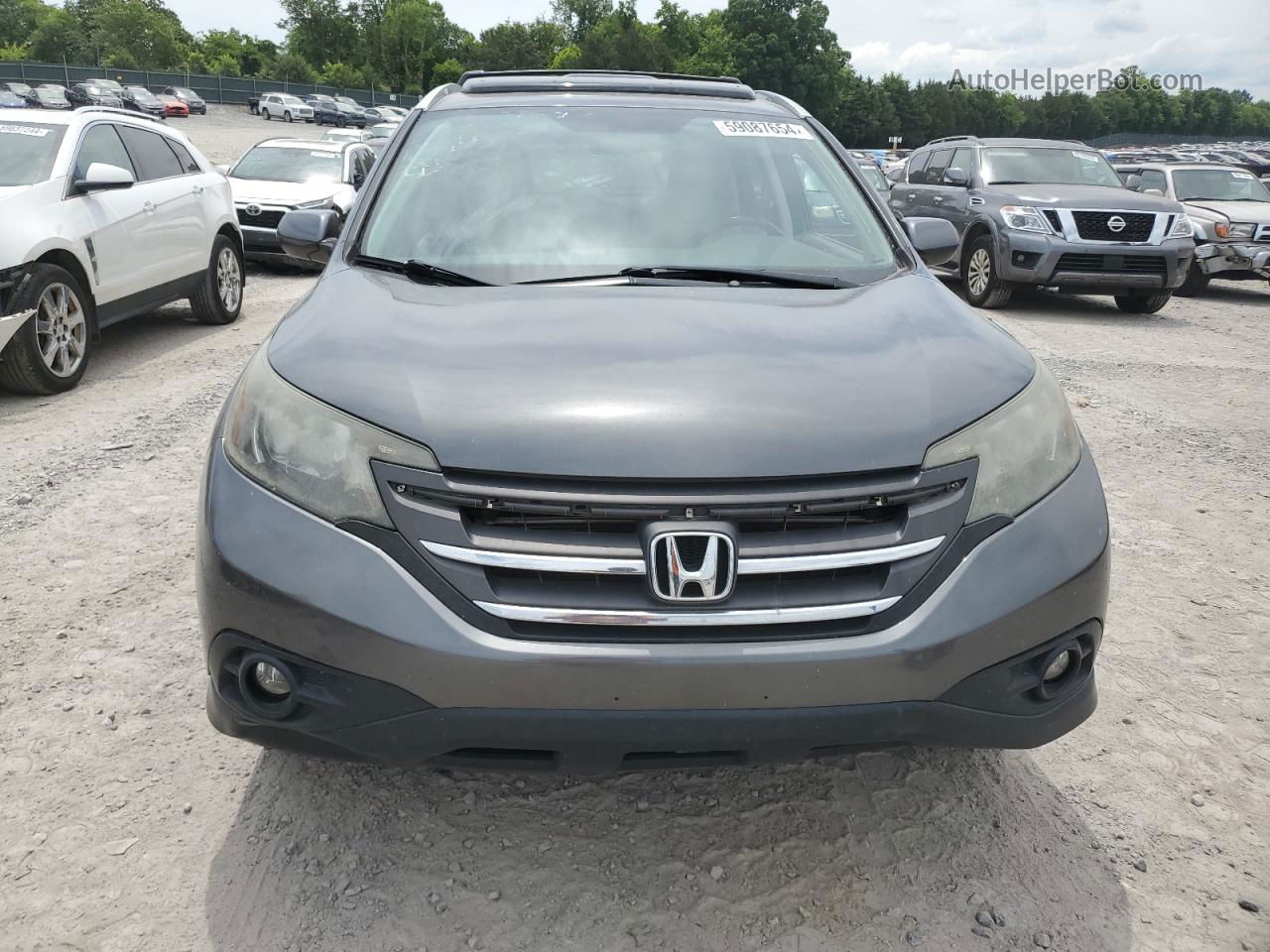 2013 Honda Cr-v Exl Gray vin: 5J6RM3H74DL006915