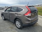 2012 Honda Cr-v Exl Brown vin: 5J6RM3H75CL044751