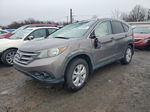 2012 Honda Cr-v Exl Gray vin: 5J6RM3H76CL039350